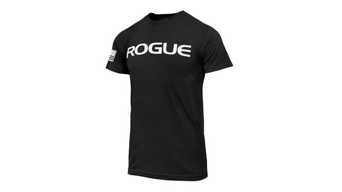 تیشرت نخ پنبه Rogue