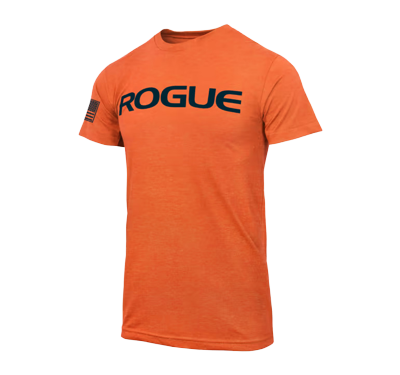 تیشرت نخ پنبه Rogue