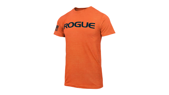 تیشرت نخ پنبه Rogue